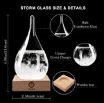 Storm Glass - Recipiente decorativo de vidrio para predicción meteorológica. - Imagen 2