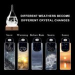 Storm Glass - Recipiente decorativo de vidrio para predicción meteorológica. - Imagen 3