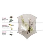 Victorinox primera nieve Eau de Toilette 3.4 Oz 100 ml - Imagen 6