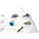 Perfume Victorinox Swiss Army Steel, 3.4 onzas - Imagen 3